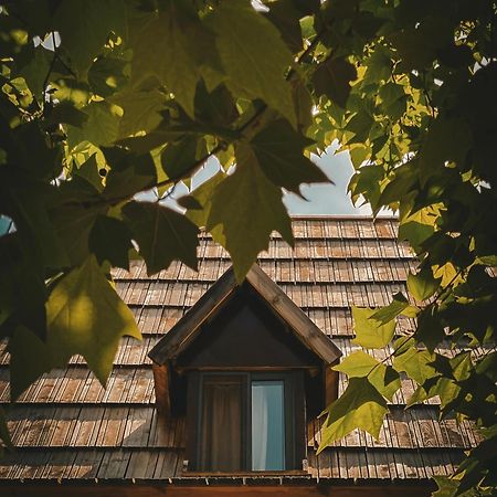Guesthouse Pashko Тет Екстериор снимка