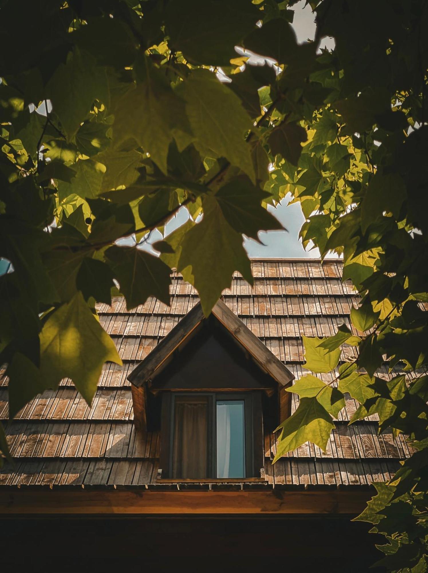 Guesthouse Pashko Тет Екстериор снимка